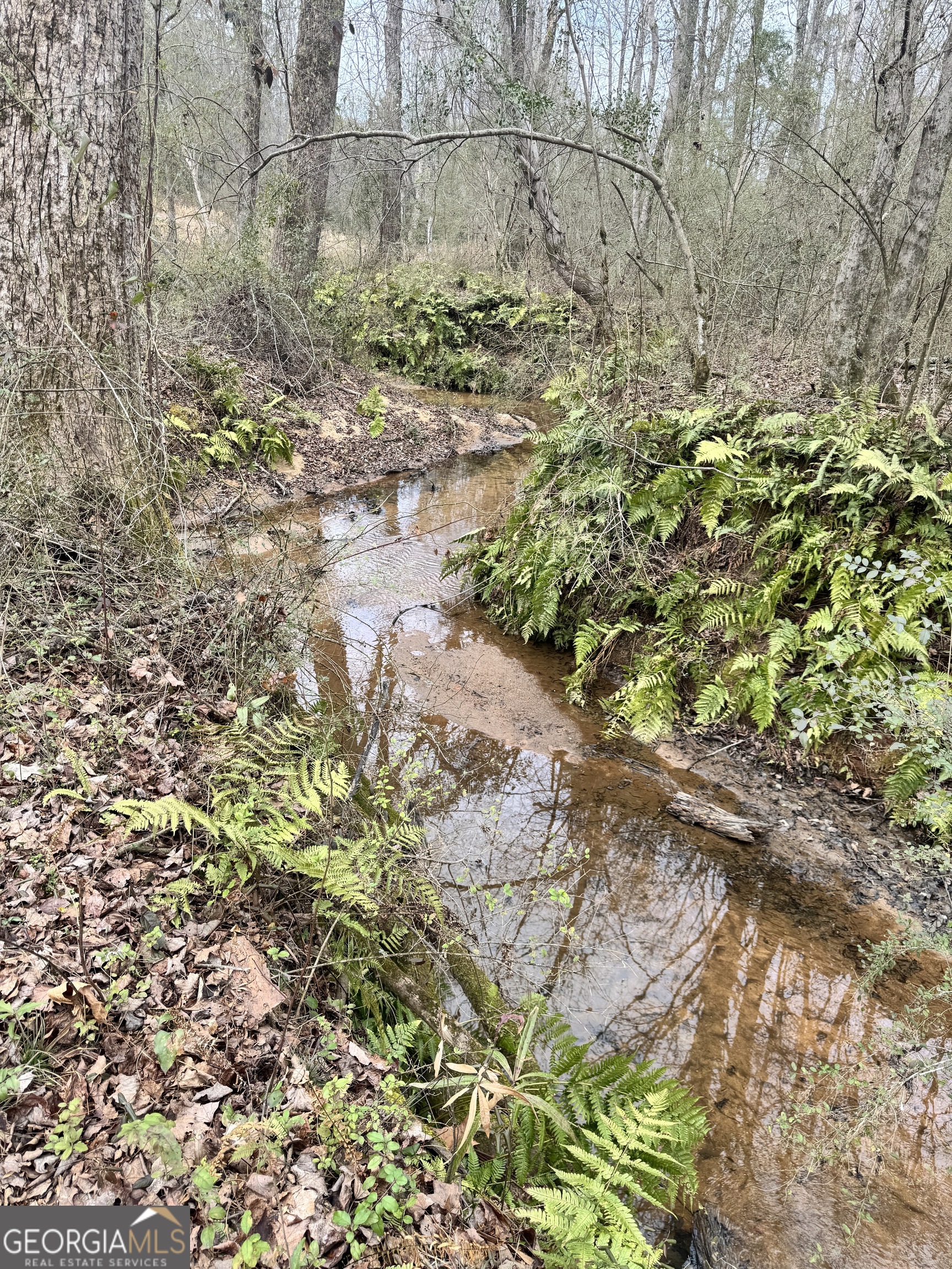 0 J B J B Owens Road Bethlehem, GA 30620 - Photo 7 of 28 a view of a yard with a tree