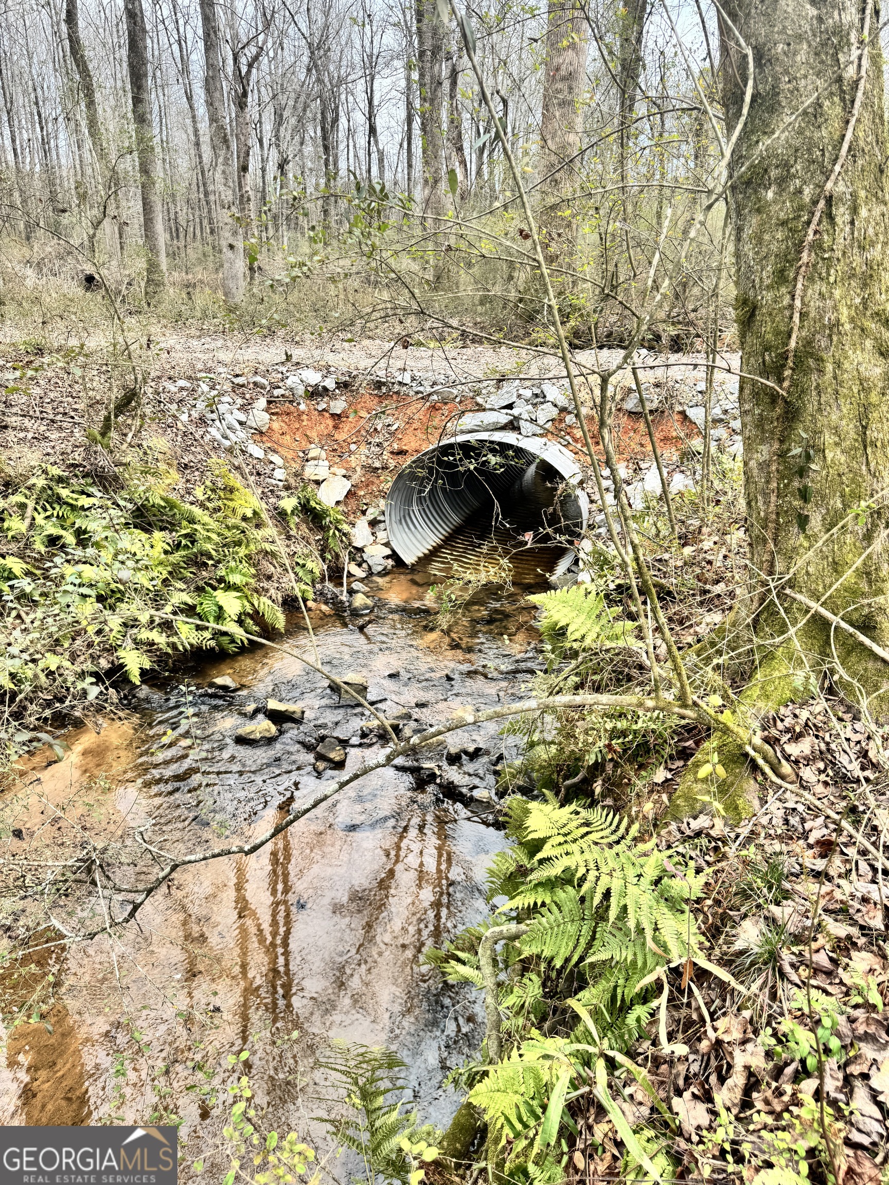0 J B J B Owens Road Bethlehem, GA 30620 - Photo 8 of 28 a view of lake view