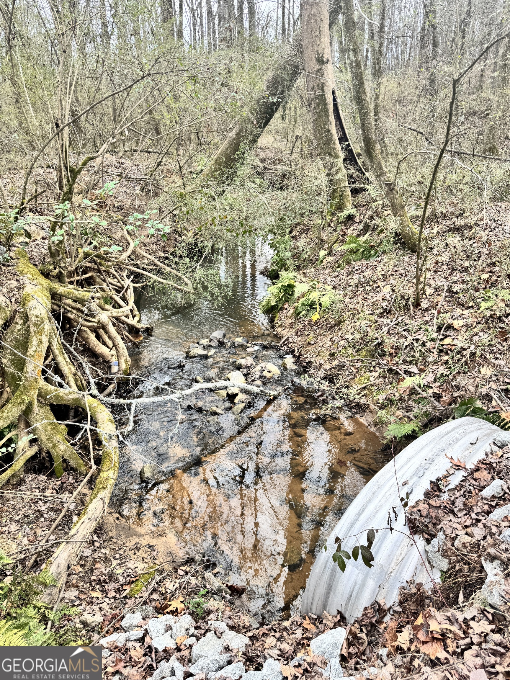0 J B J B Owens Road Bethlehem, GA 30620 - Photo 9 of 28 a view of outdoor space