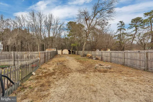 a view of a backyard