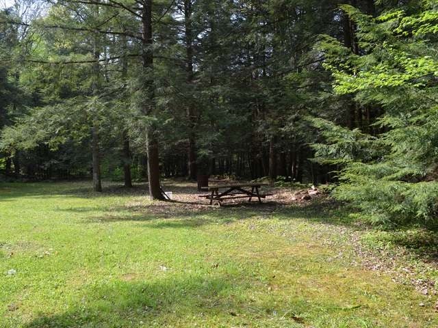 4095 Chapman Dam Road Clarendon, PA 16313 - Photo 5 of 27 Gallery Image 5