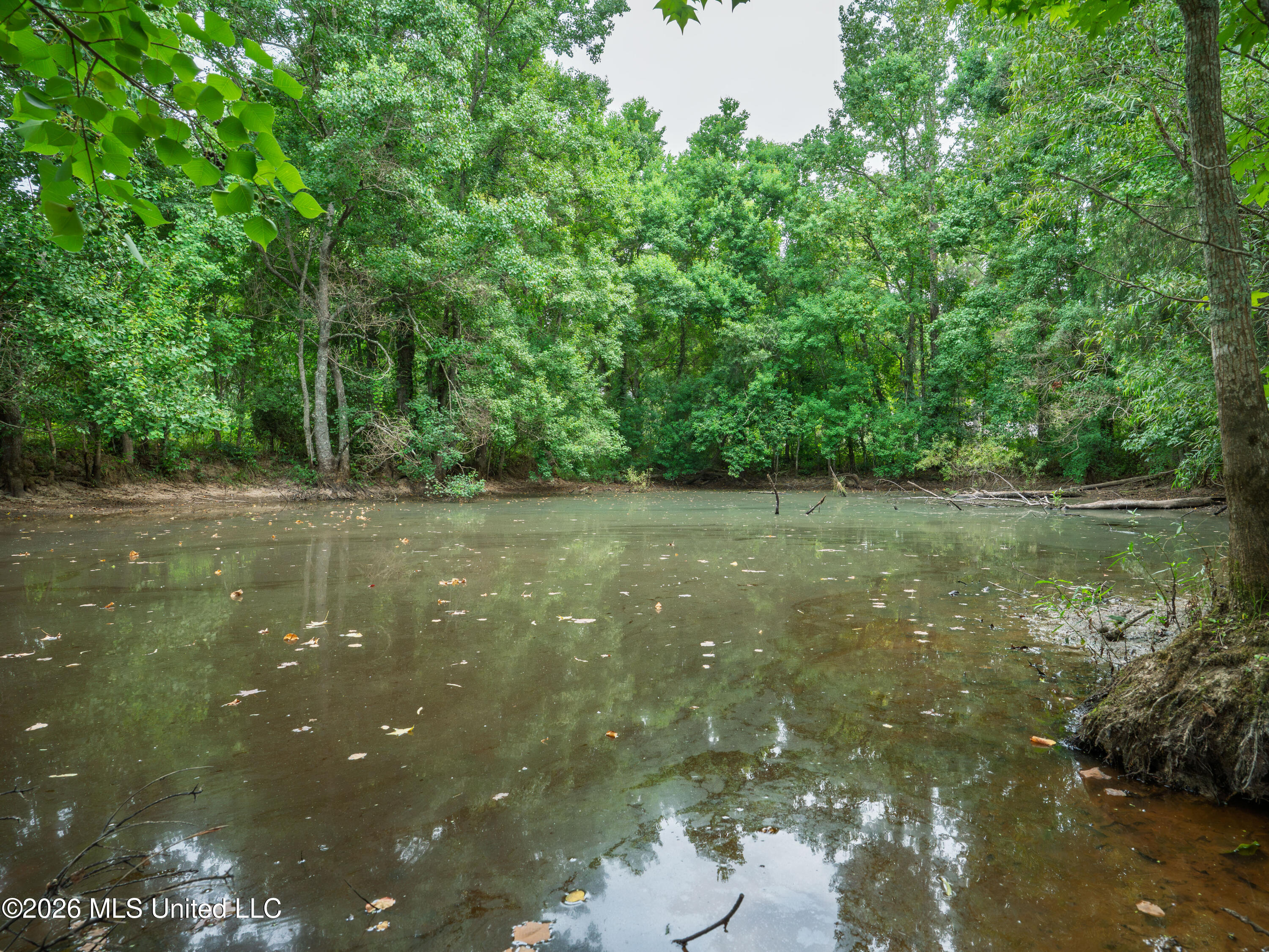 Spring Street Taylorsville, MS 39168 - Photo 40 of 57 A7404368
