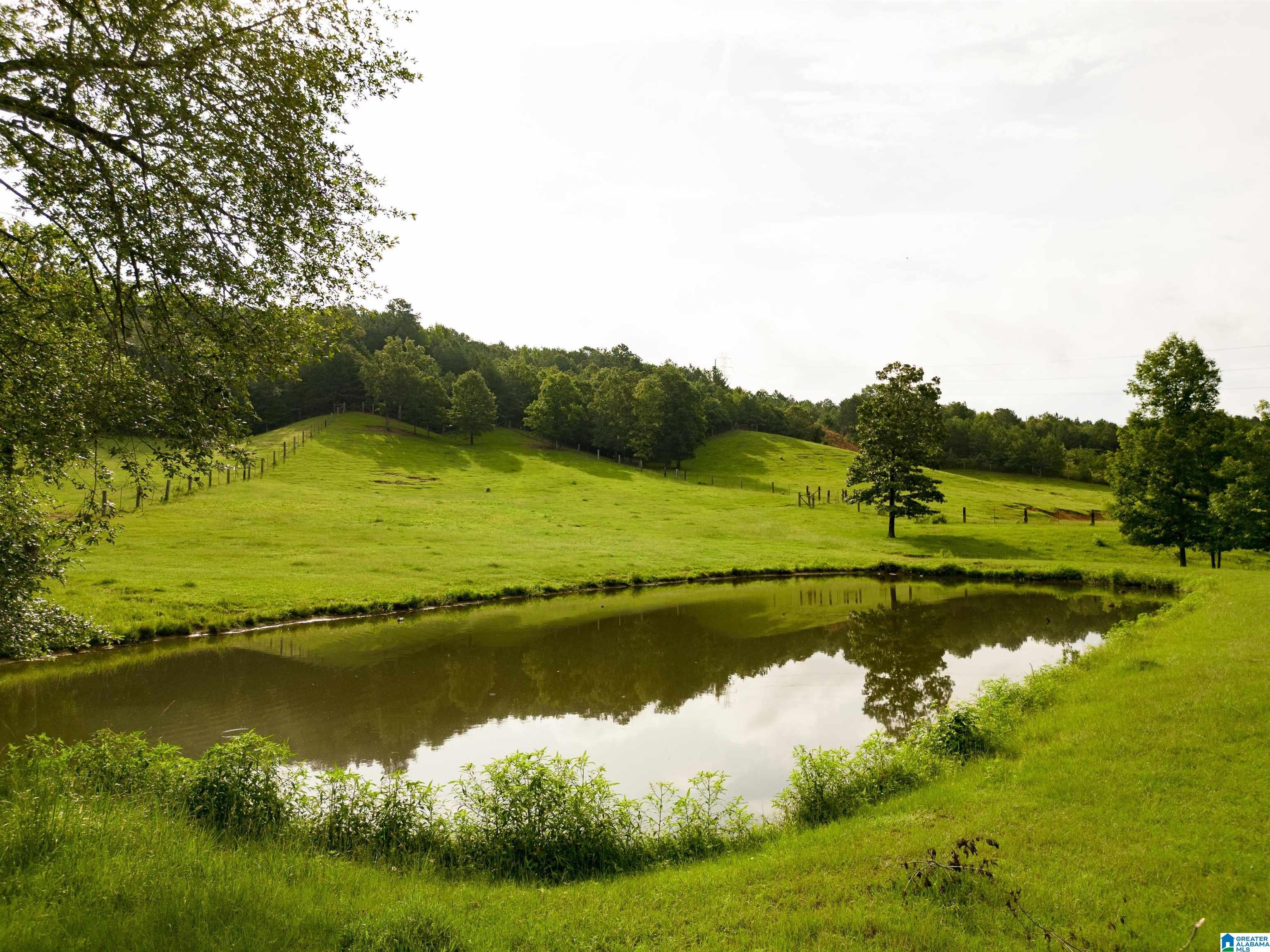 5101 Reeder Road Dora, AL 35062 - Photo 1 of 10