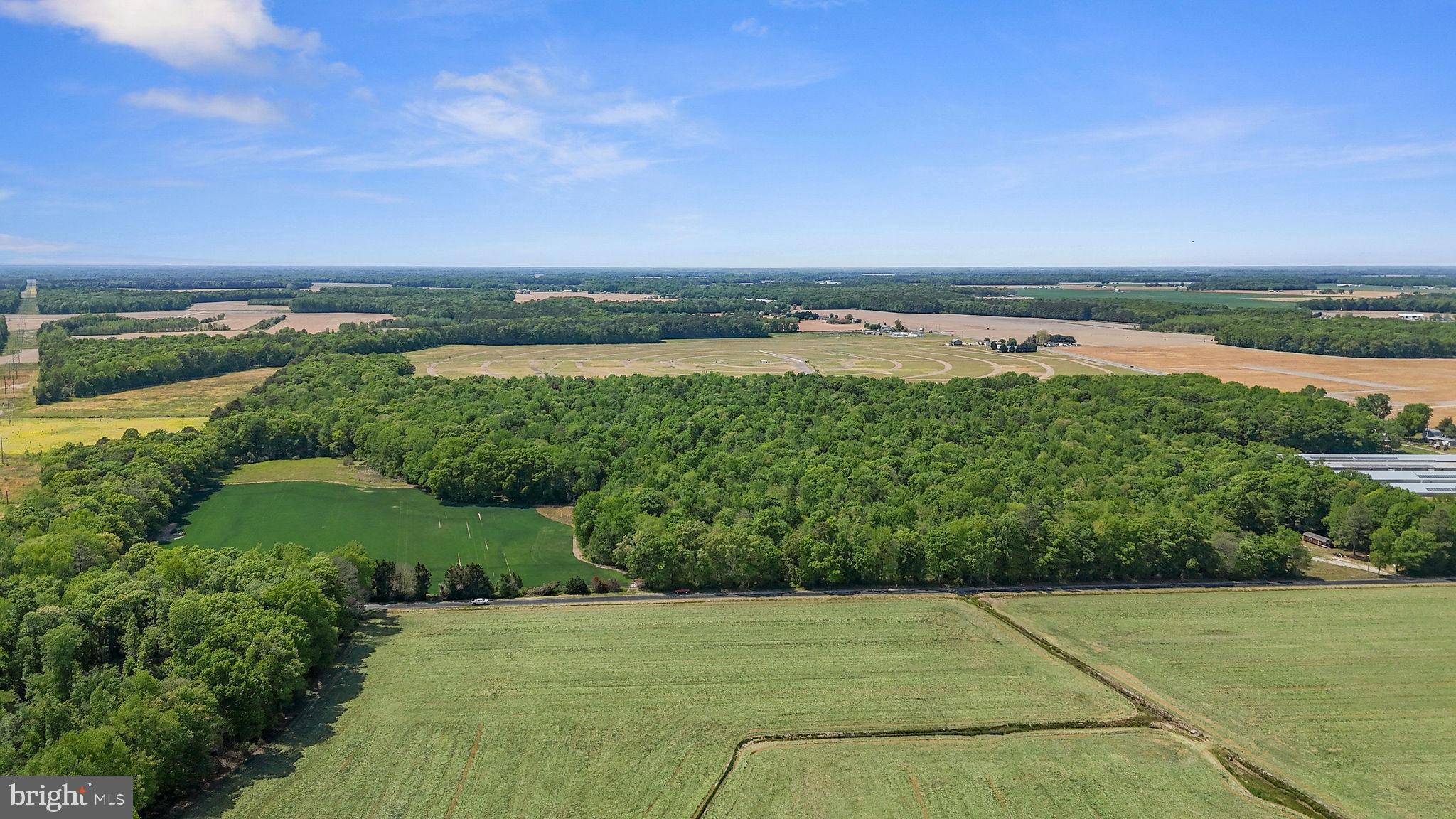 0 Cattail Road Harrington, DE 19952 - Photo 18 of 20