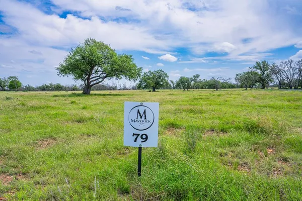 $160,000 | Lot 79 Stock Pond Drive, Harper, TX 78631