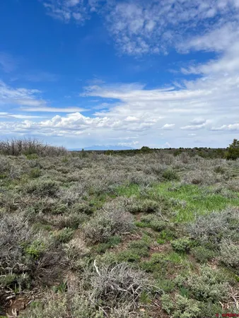 a view of a field
