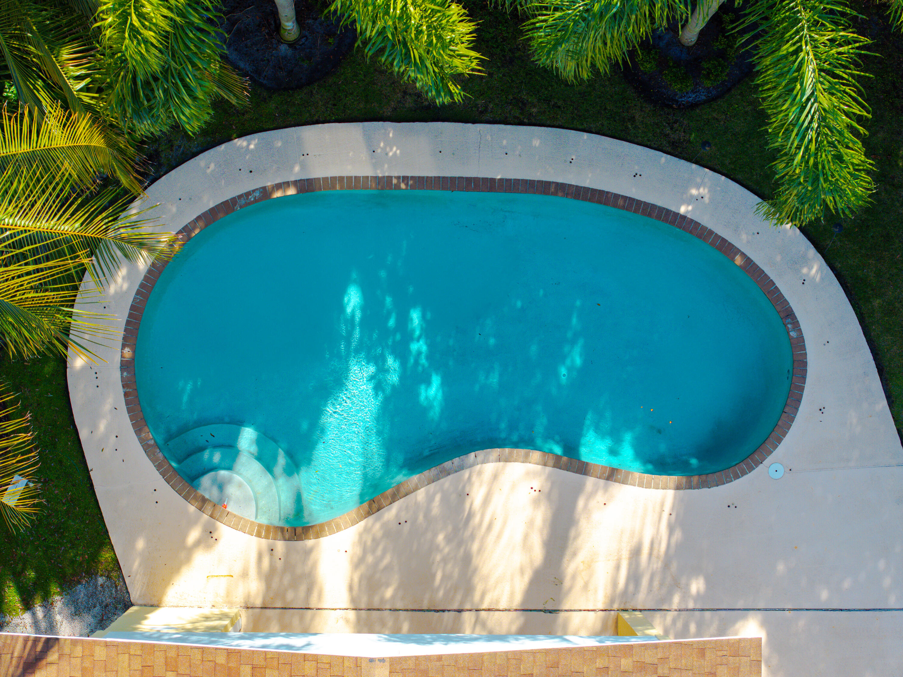 302 Northeast 36th Street Boca Raton, FL 33431 - Photo 3 of 40 a view of a swimming pool