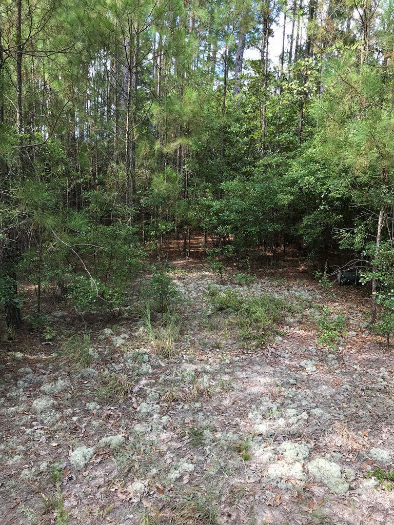 1022 Wrights Mill Road Aiken, SC 29801 - Photo 6 of 7