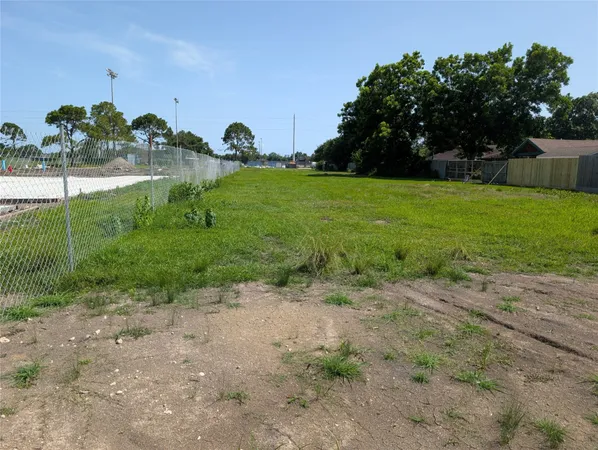 a view of a garden with large trees