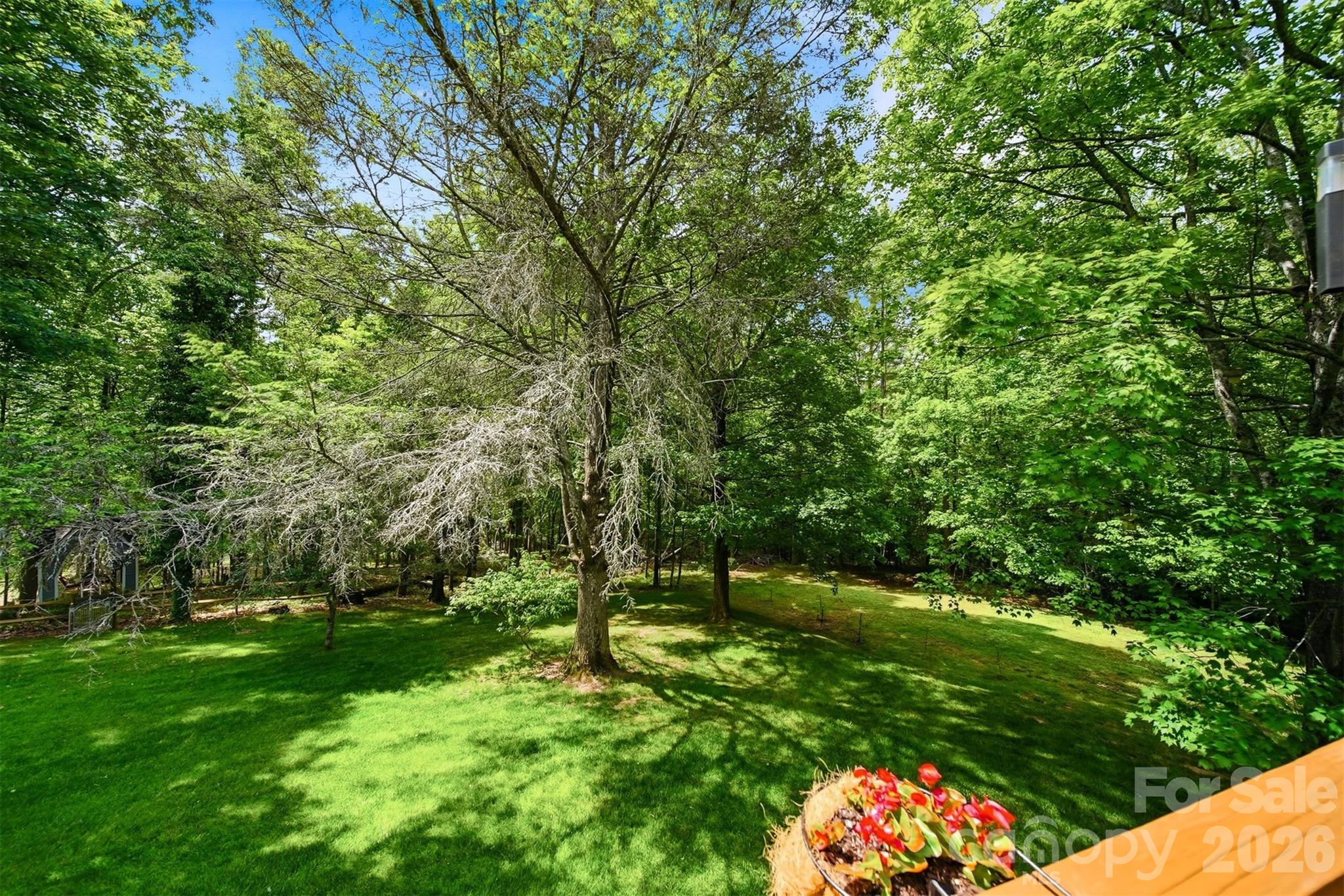 3497 Blue Creek Road Lenoir, NC 28645 - Photo 33 of 44