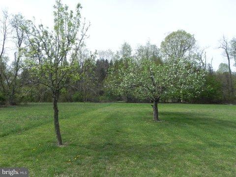 2145 Mt Hope Road Fairfield, PA 17320 - Photo 8 of 24