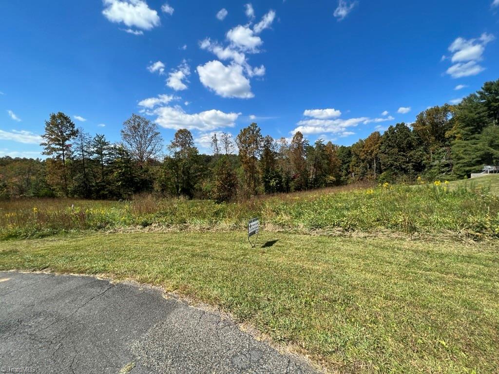 0 Page Farm Road, Unit 74 AC Mount Airy, NC 27030 - Photo 1 of 5 Gallery Image 1