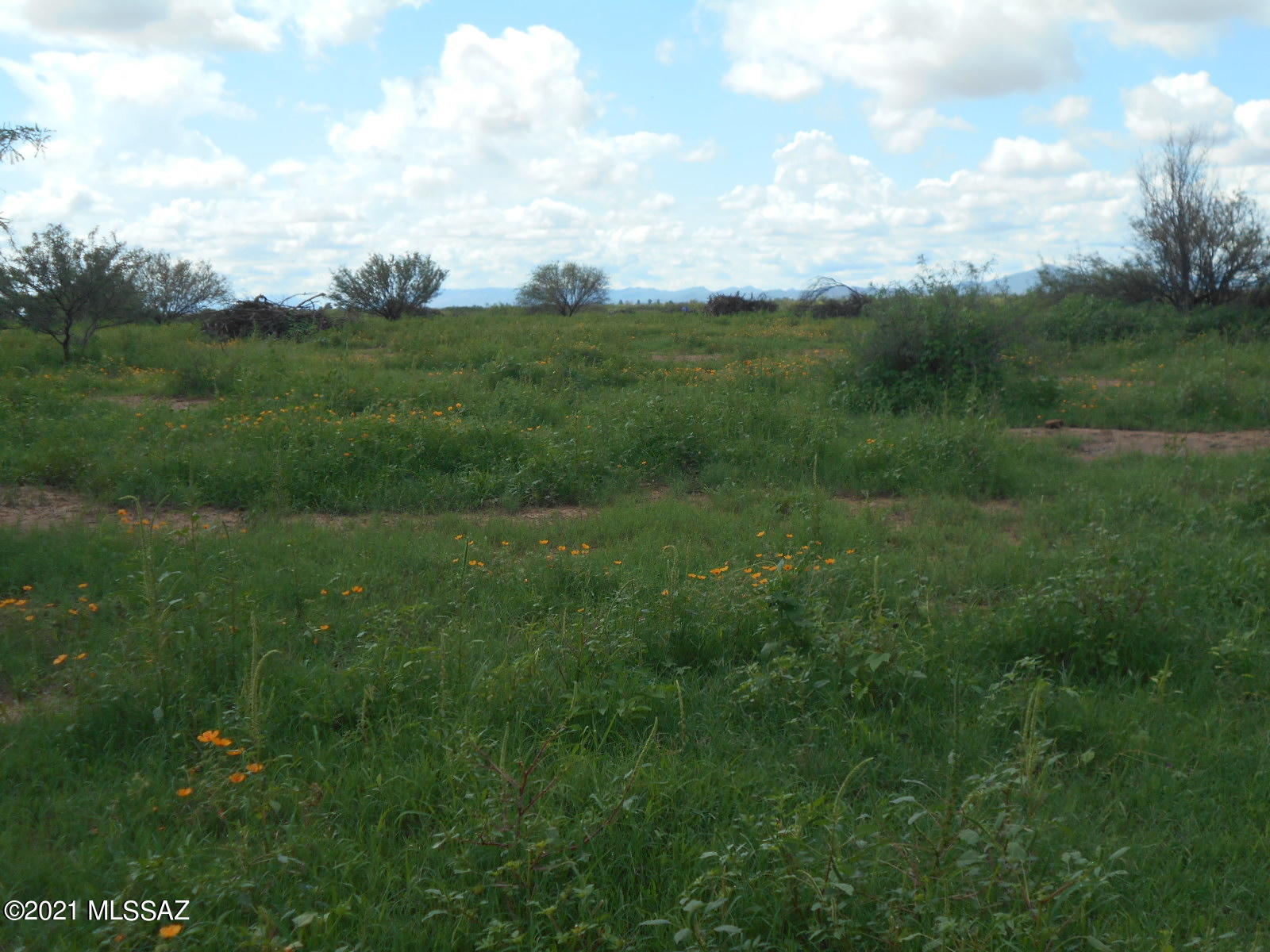 7298 North Frontier Road McNeal, AZ 85617 - Photo 16 of 40 Gallery Image 16