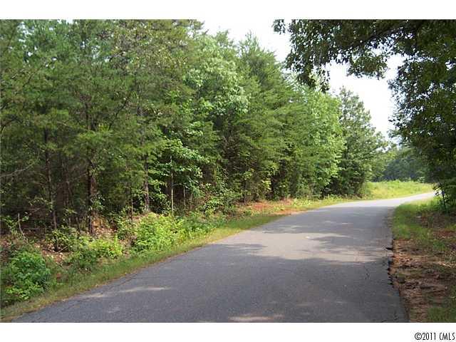 Lot A Dam Road Fort Mill, SC 29708 - Photo 1 of 1 a view of a yard with plants and large trees