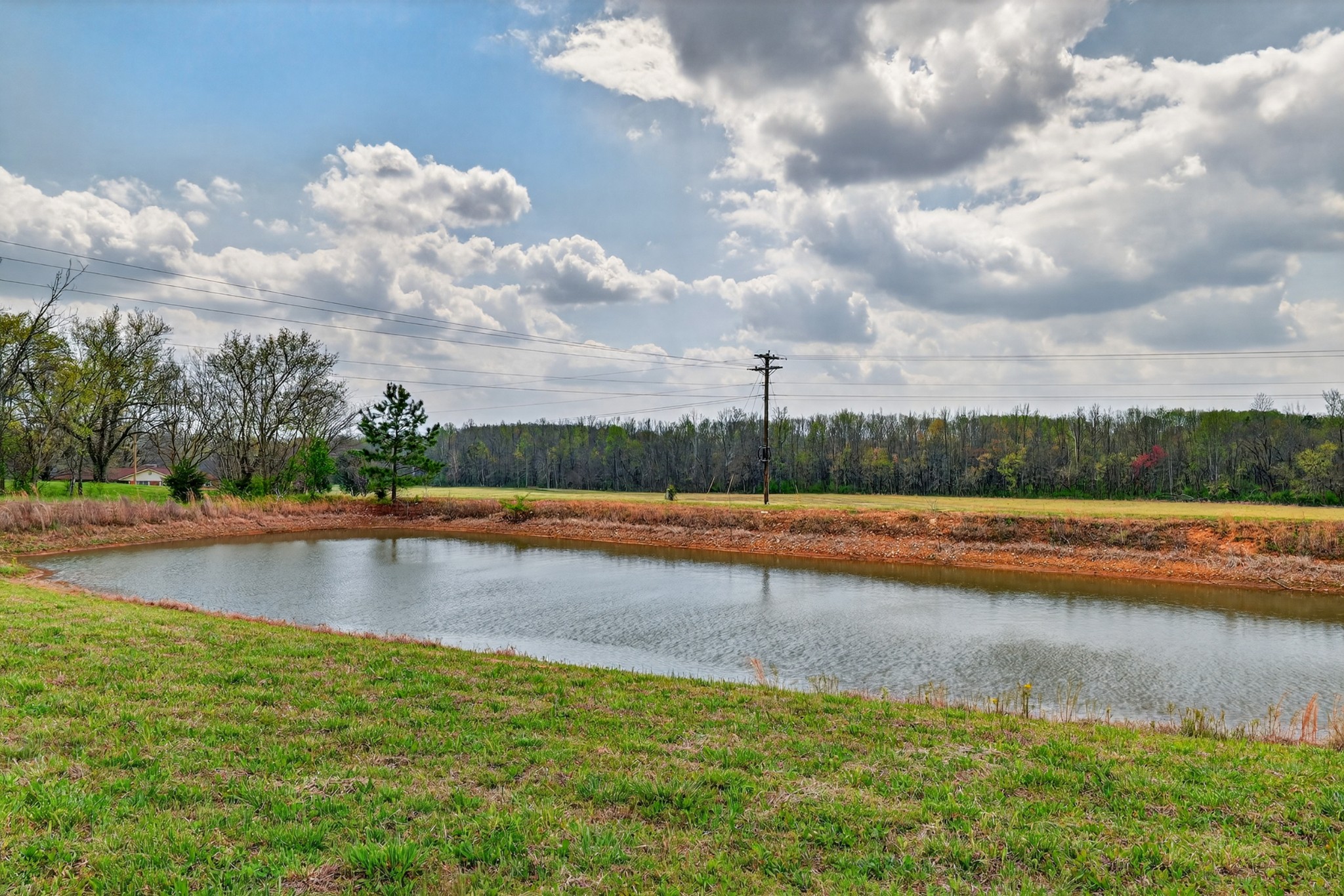 560 Old Huntsville Road Fayetteville, TN 37334 - Photo 30 of 32 a view of swimming pool with a yard and trees in the background