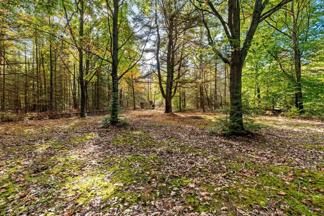 $199,900 | 8653 Alder Lane, Suring, WI 54174