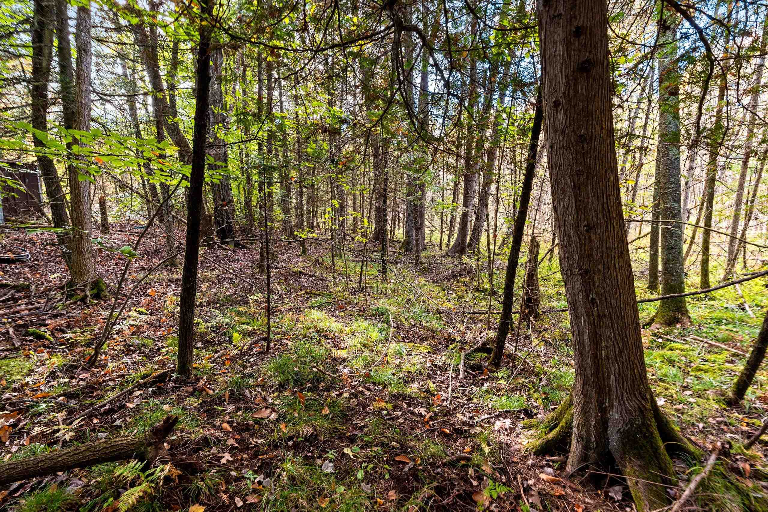 8653 Alder Lane Suring, WI 54174 - Photo 17 of 61