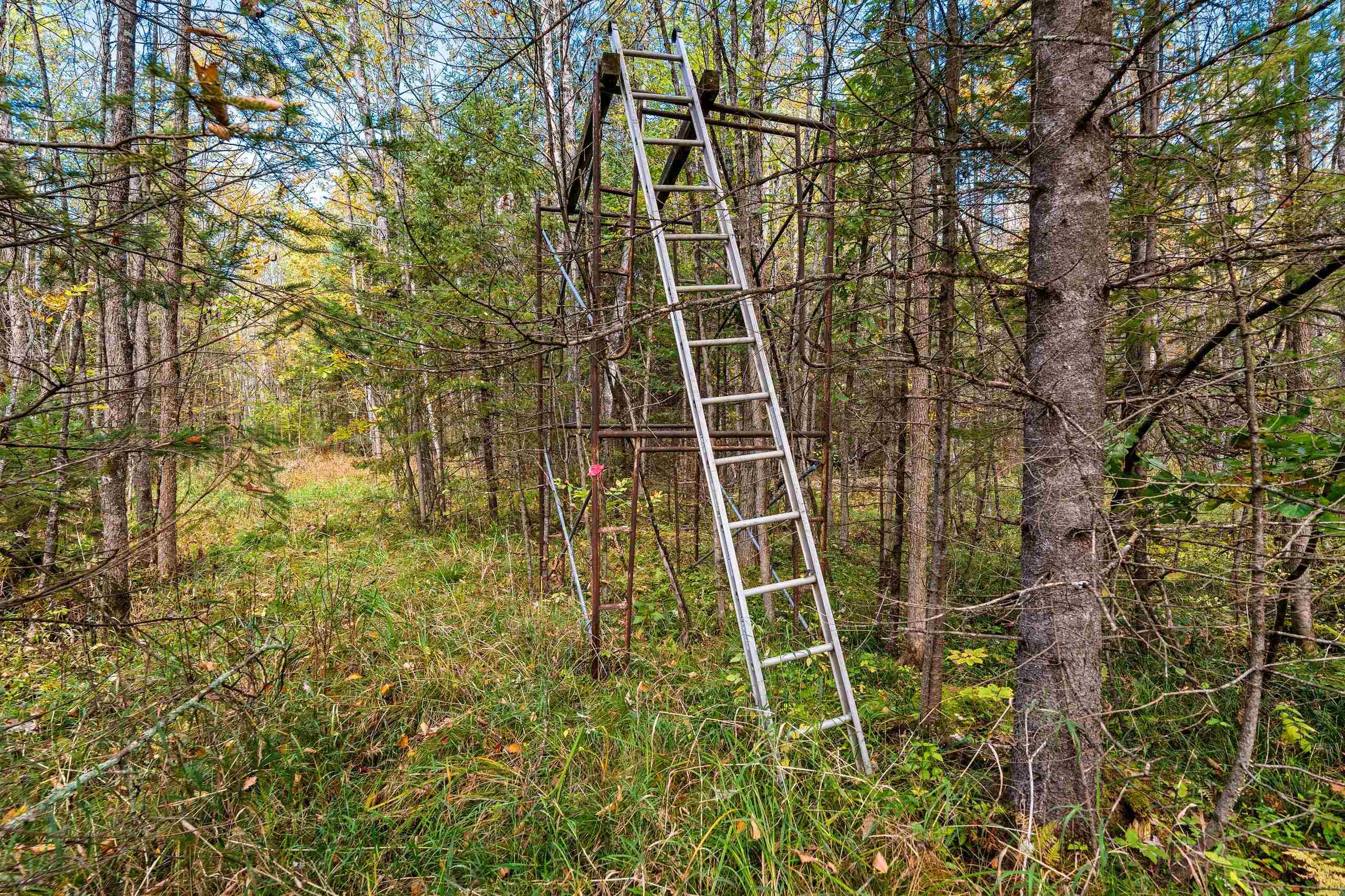 8653 Alder Lane Suring, WI 54174 - Photo 19 of 61