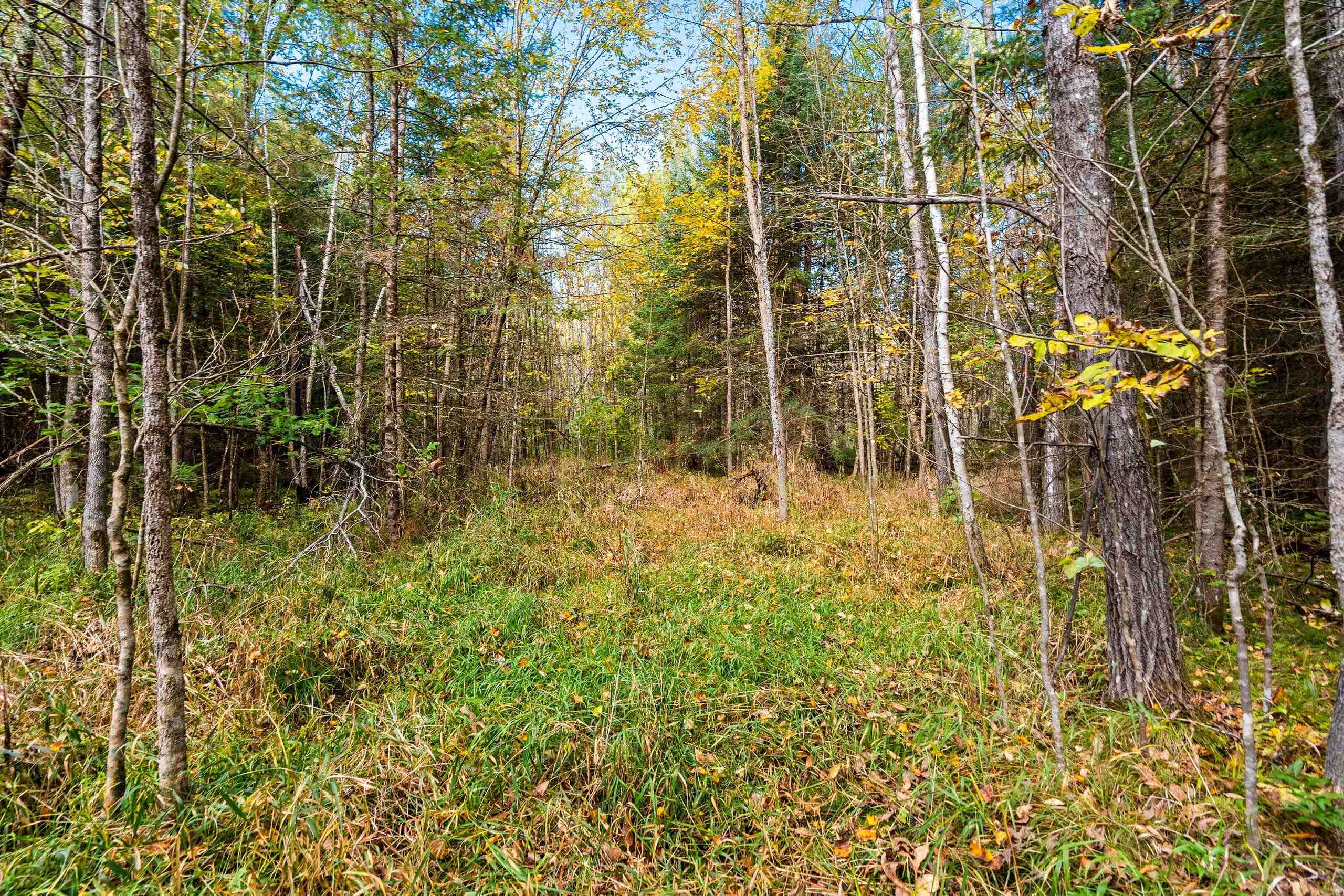 8653 Alder Lane Suring, WI 54174 - Photo 20 of 61