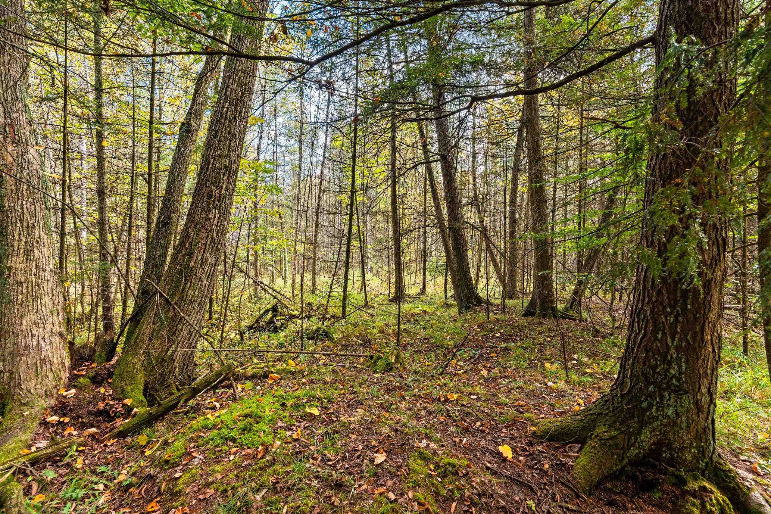 8653 Alder Lane Suring, WI 54174 - Photo 21 of 61