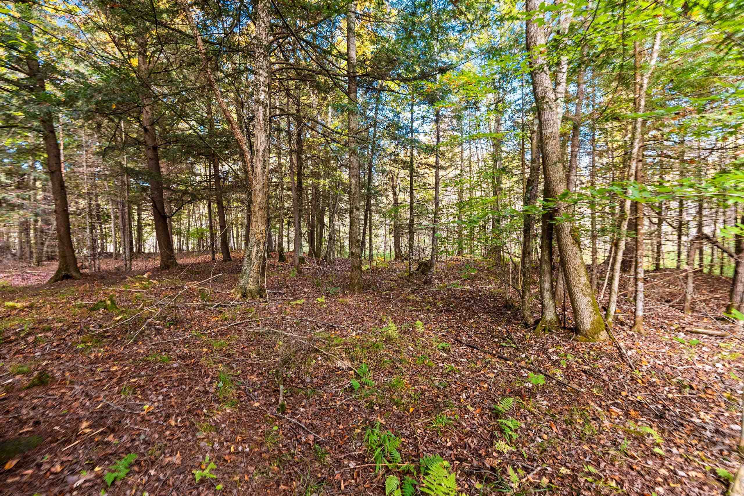 8653 Alder Lane Suring, WI 54174 - Photo 23 of 61