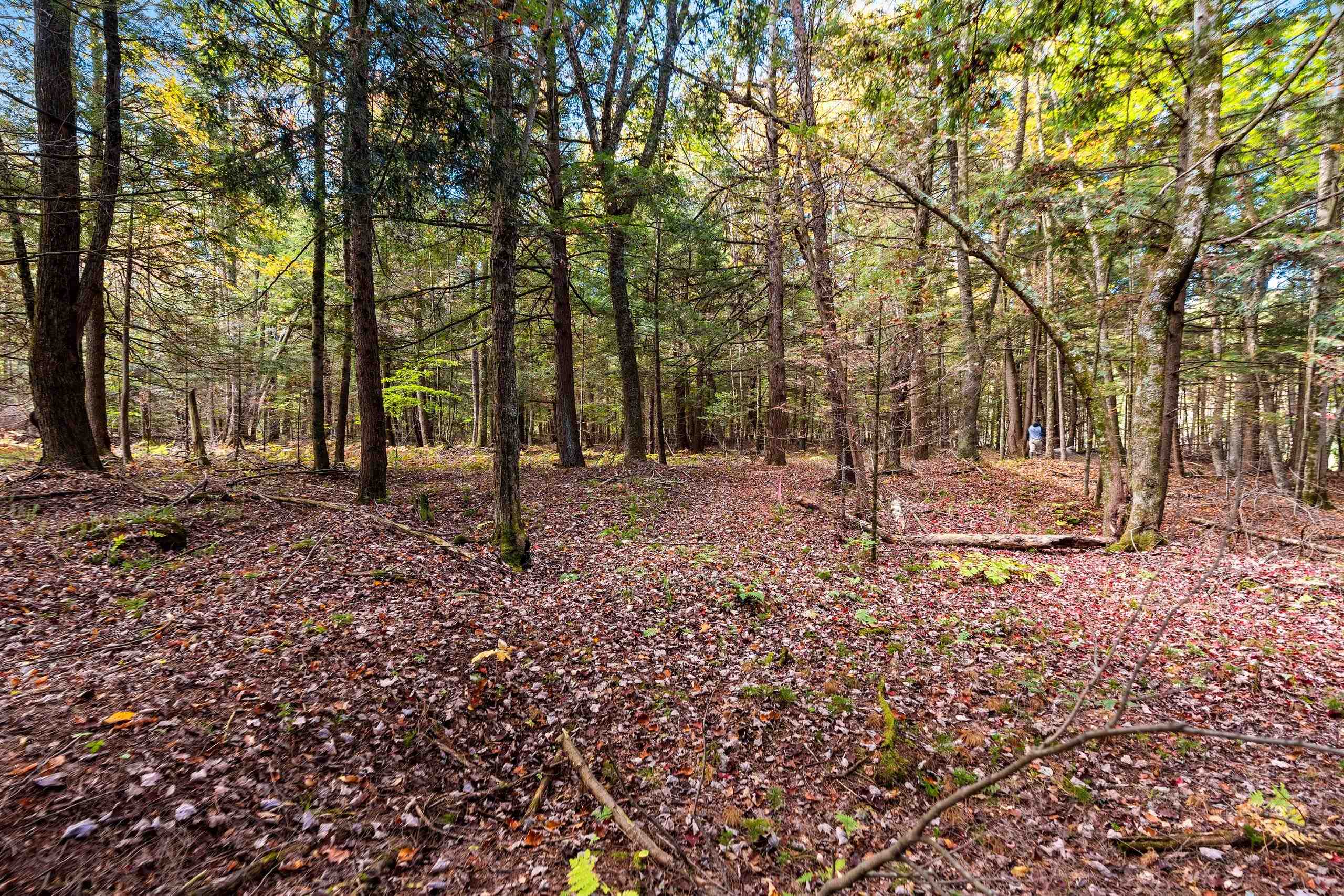 8653 Alder Lane Suring, WI 54174 - Photo 24 of 61