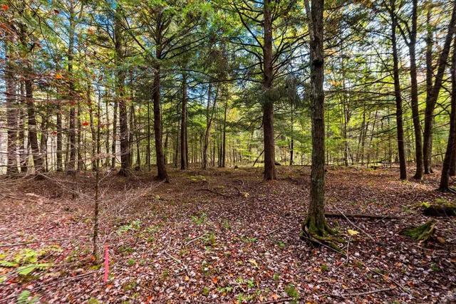 $199,900 | 8653 Alder Lane, Suring, WI 54174