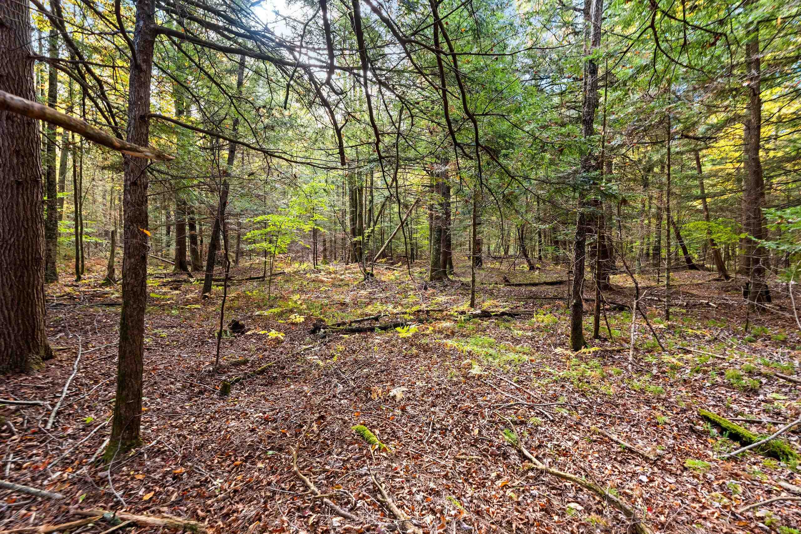 8653 Alder Lane Suring, WI 54174 - Photo 26 of 61