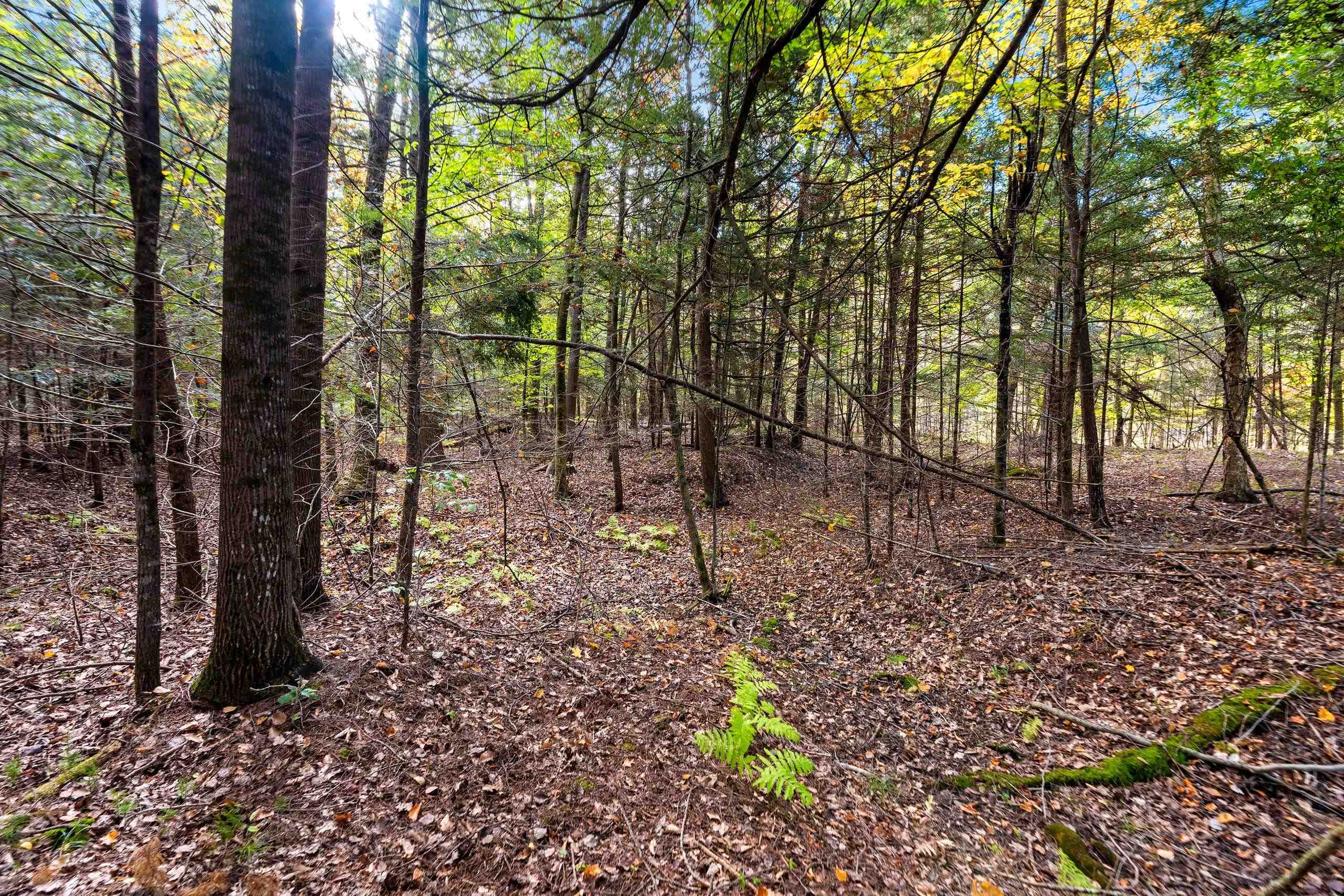 8653 Alder Lane Suring, WI 54174 - Photo 28 of 61