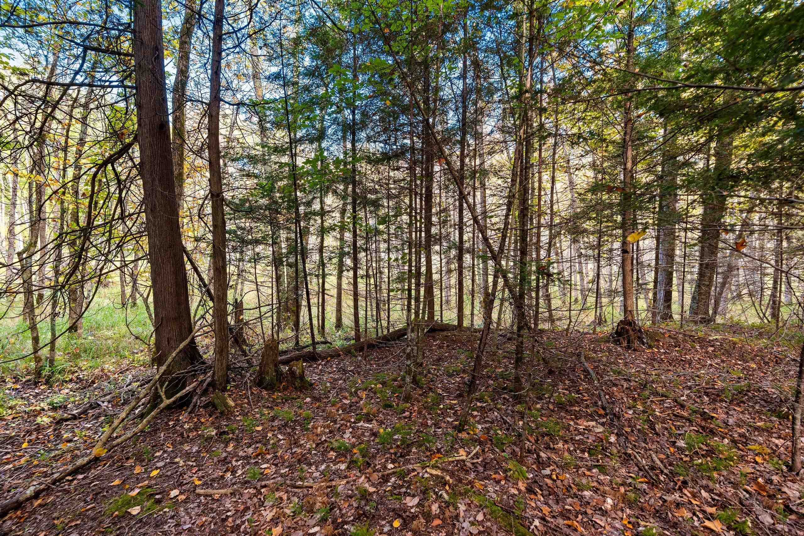 8653 Alder Lane Suring, WI 54174 - Photo 29 of 61