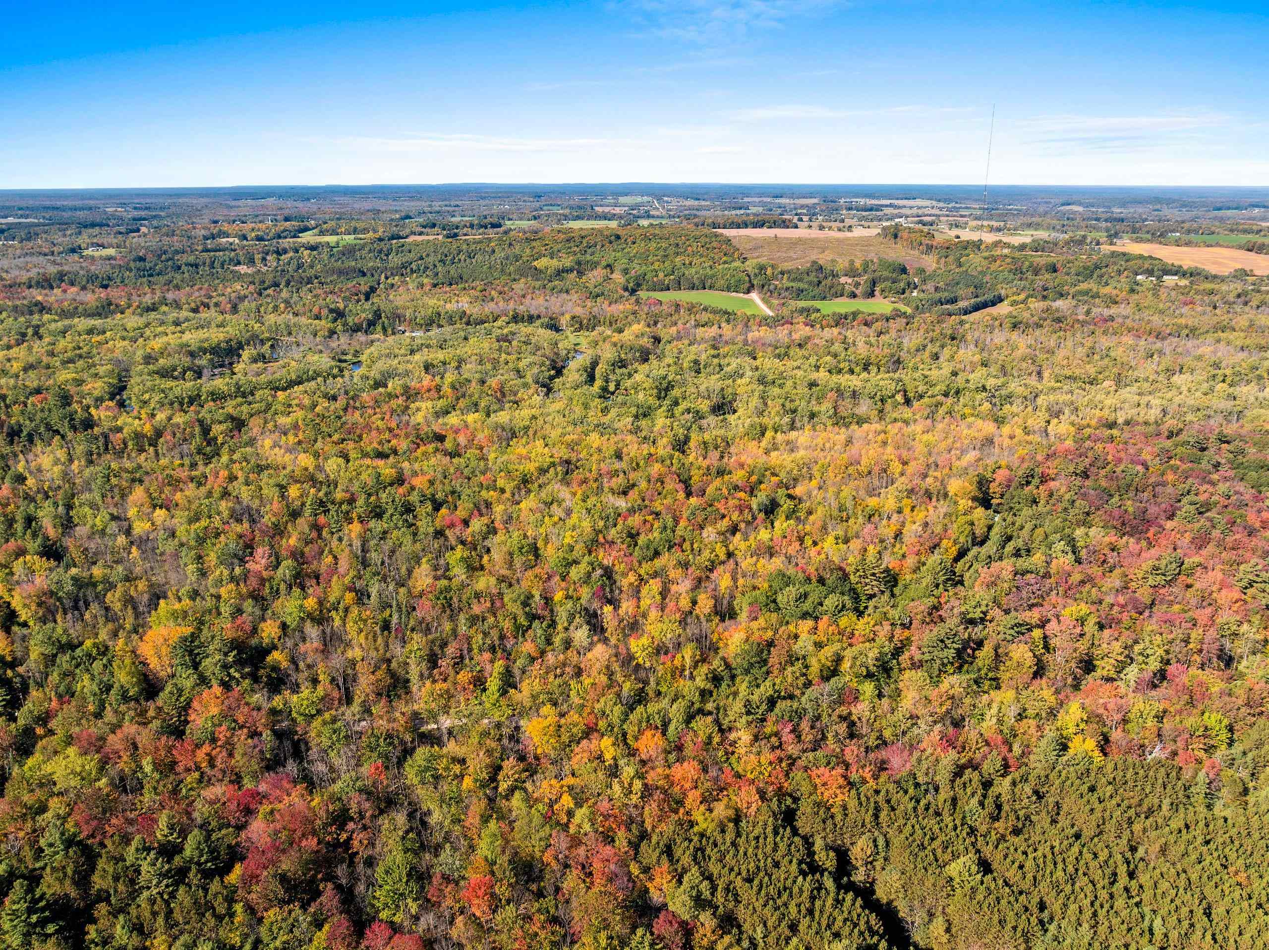 8653 Alder Lane Suring, WI 54174 - Photo 3 of 61