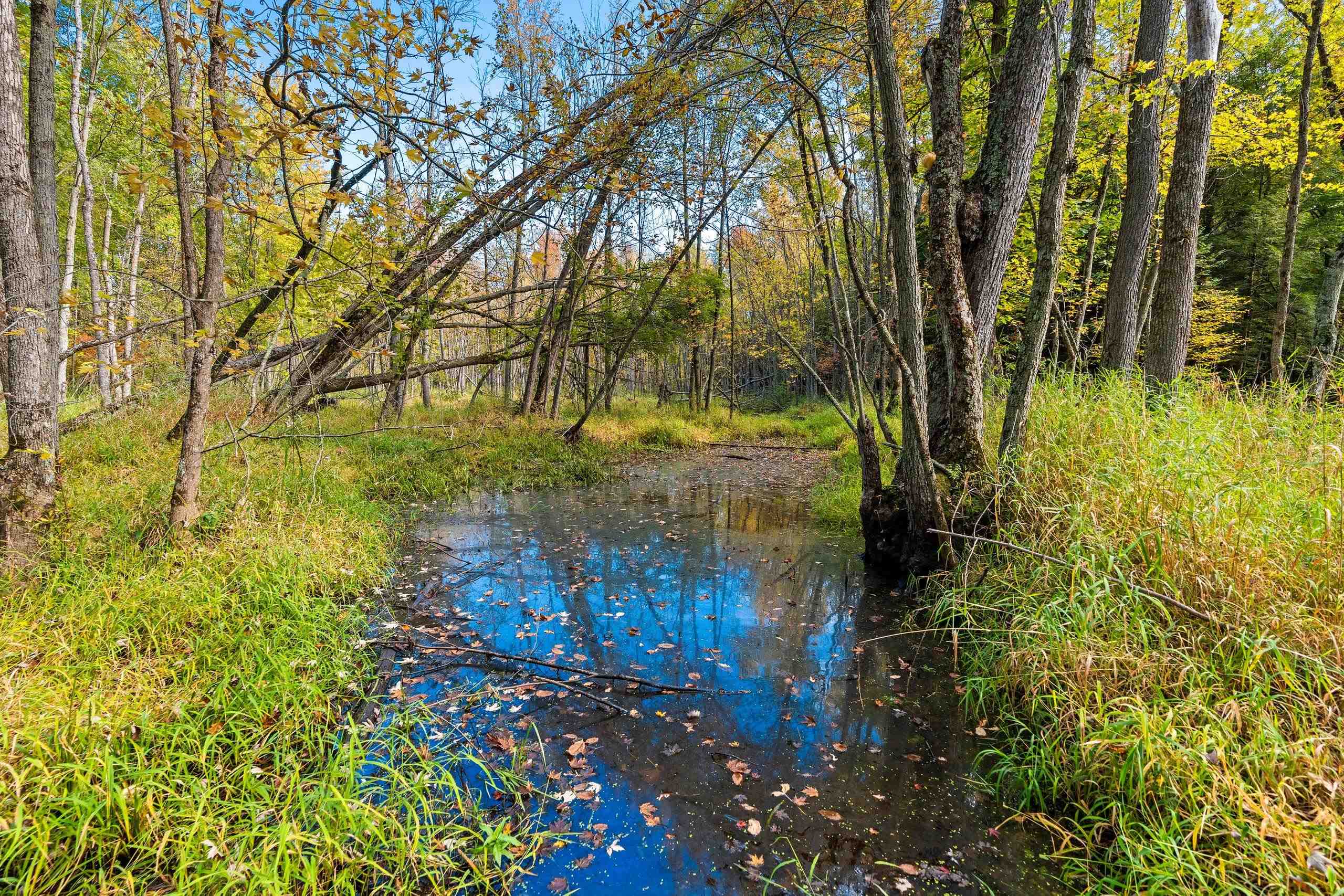 8653 Alder Lane Suring, WI 54174 - Photo 32 of 61