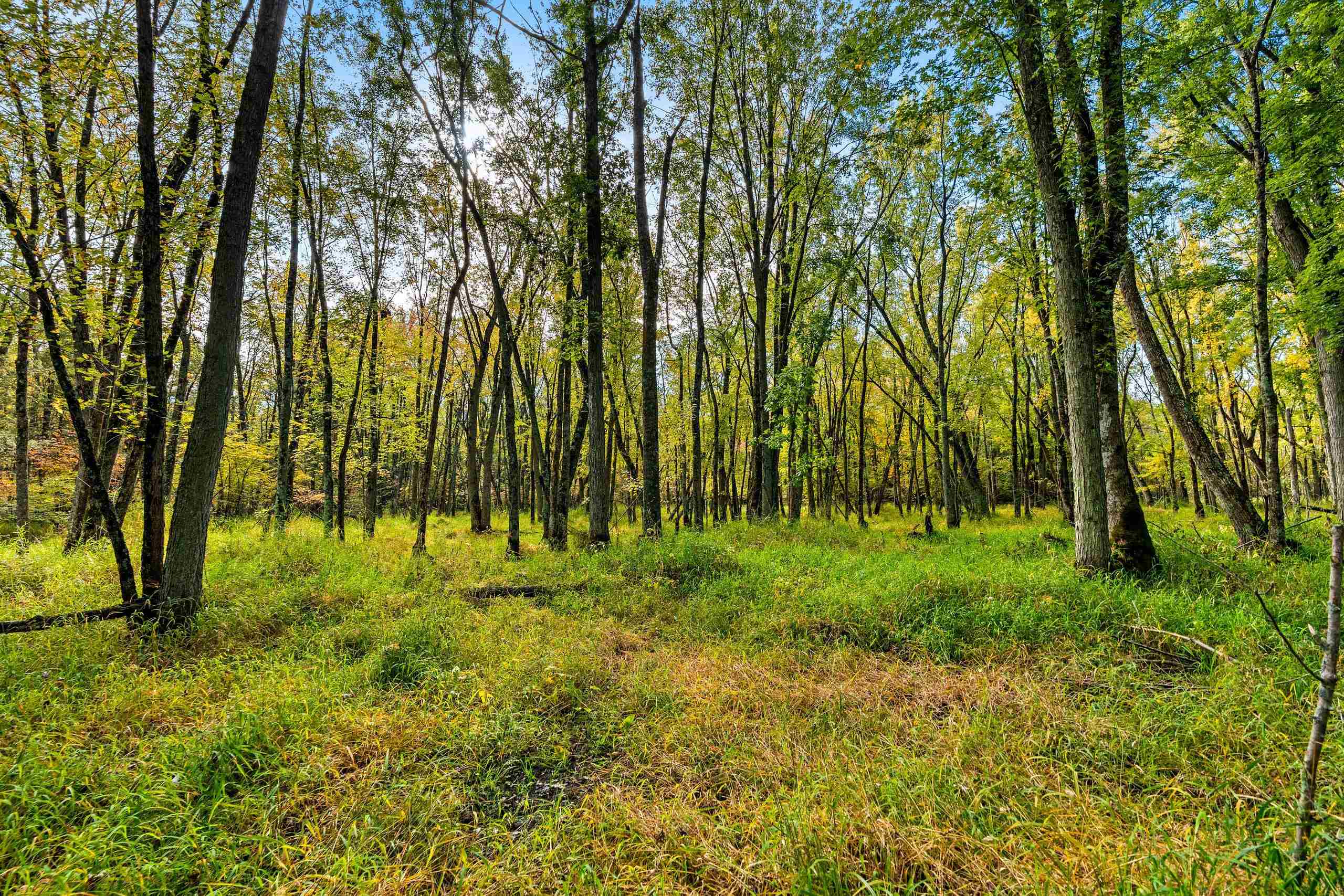 8653 Alder Lane Suring, WI 54174 - Photo 33 of 61