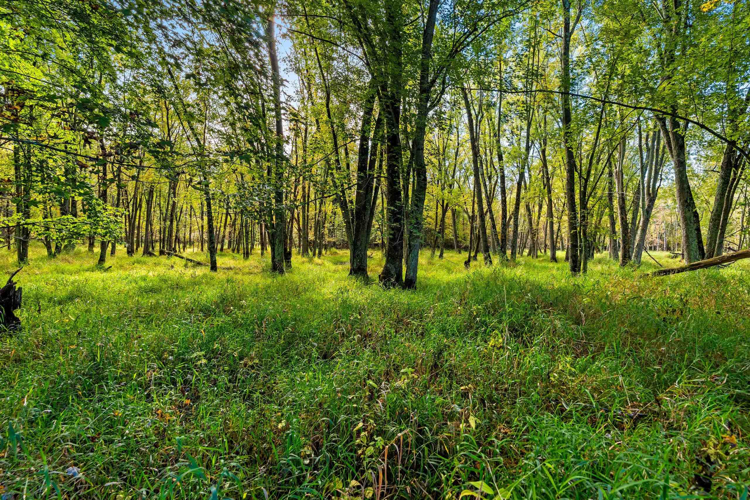 8653 Alder Lane Suring, WI 54174 - Photo 36 of 61