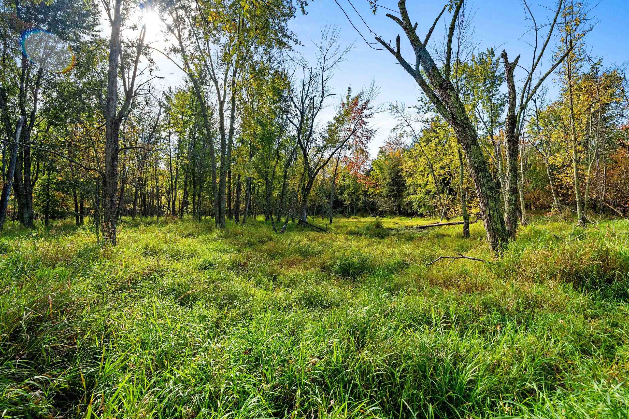 8653 Alder Lane Suring, WI 54174 - Photo 39 of 61