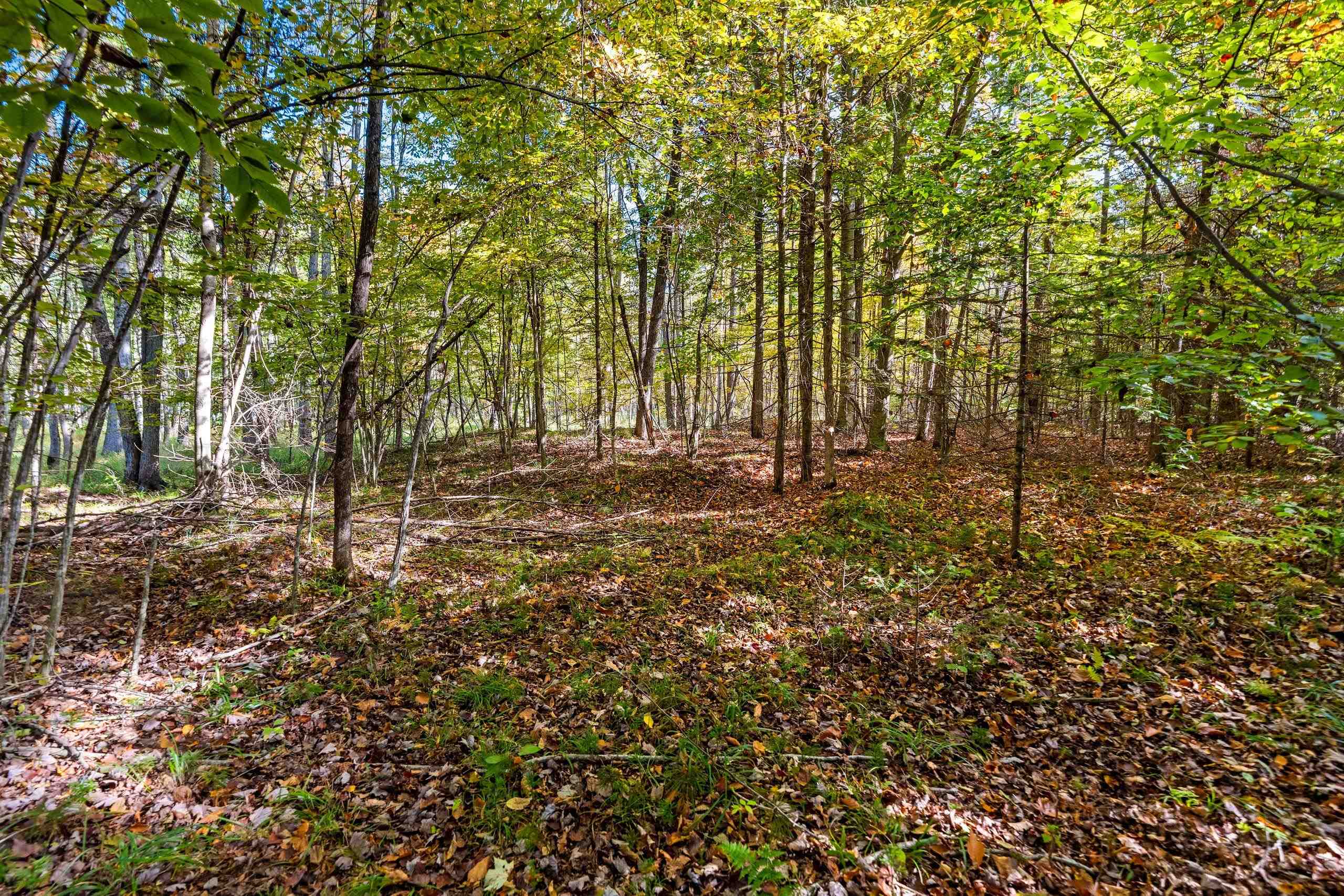 8653 Alder Lane Suring, WI 54174 - Photo 41 of 61