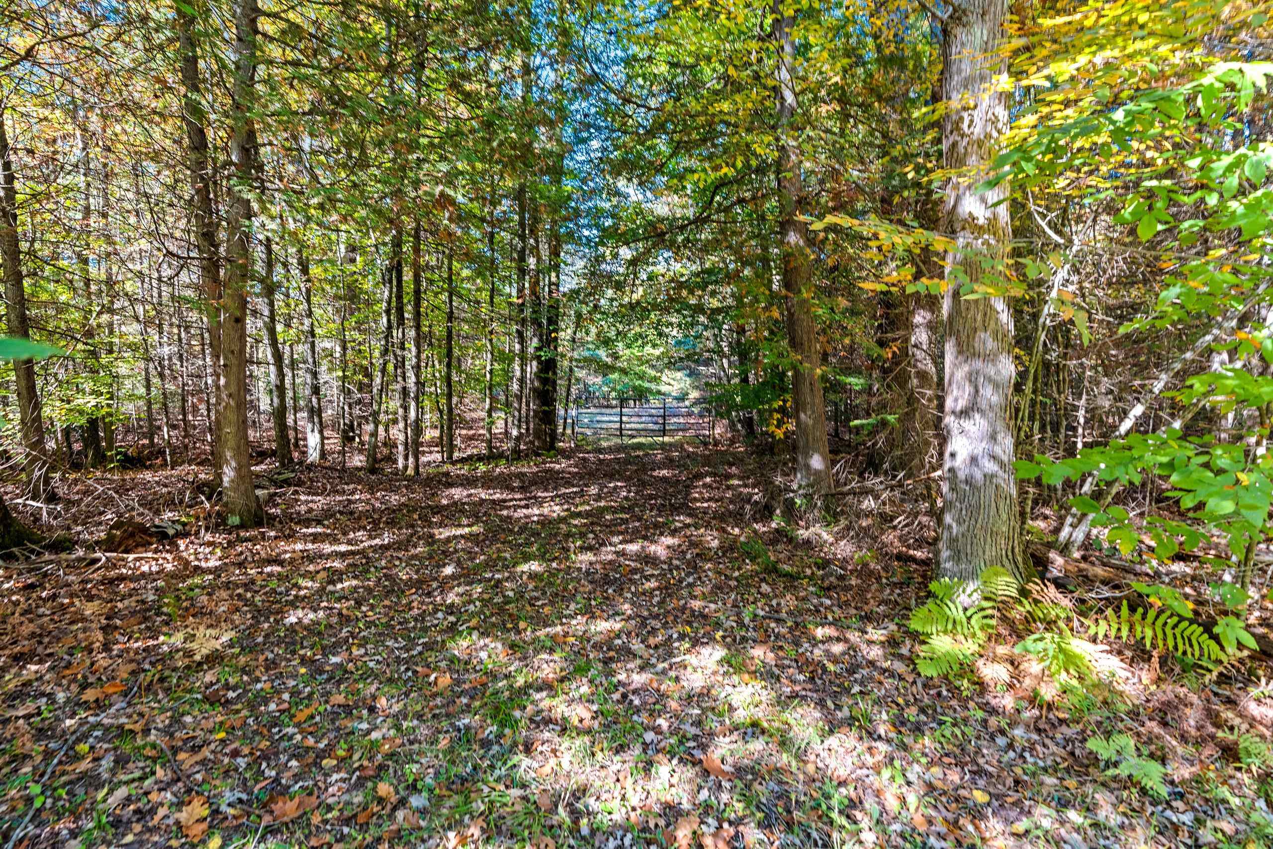 8653 Alder Lane Suring, WI 54174 - Photo 45 of 61