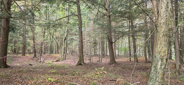 $199,900 | 8653 Alder Lane, Suring, WI 54174