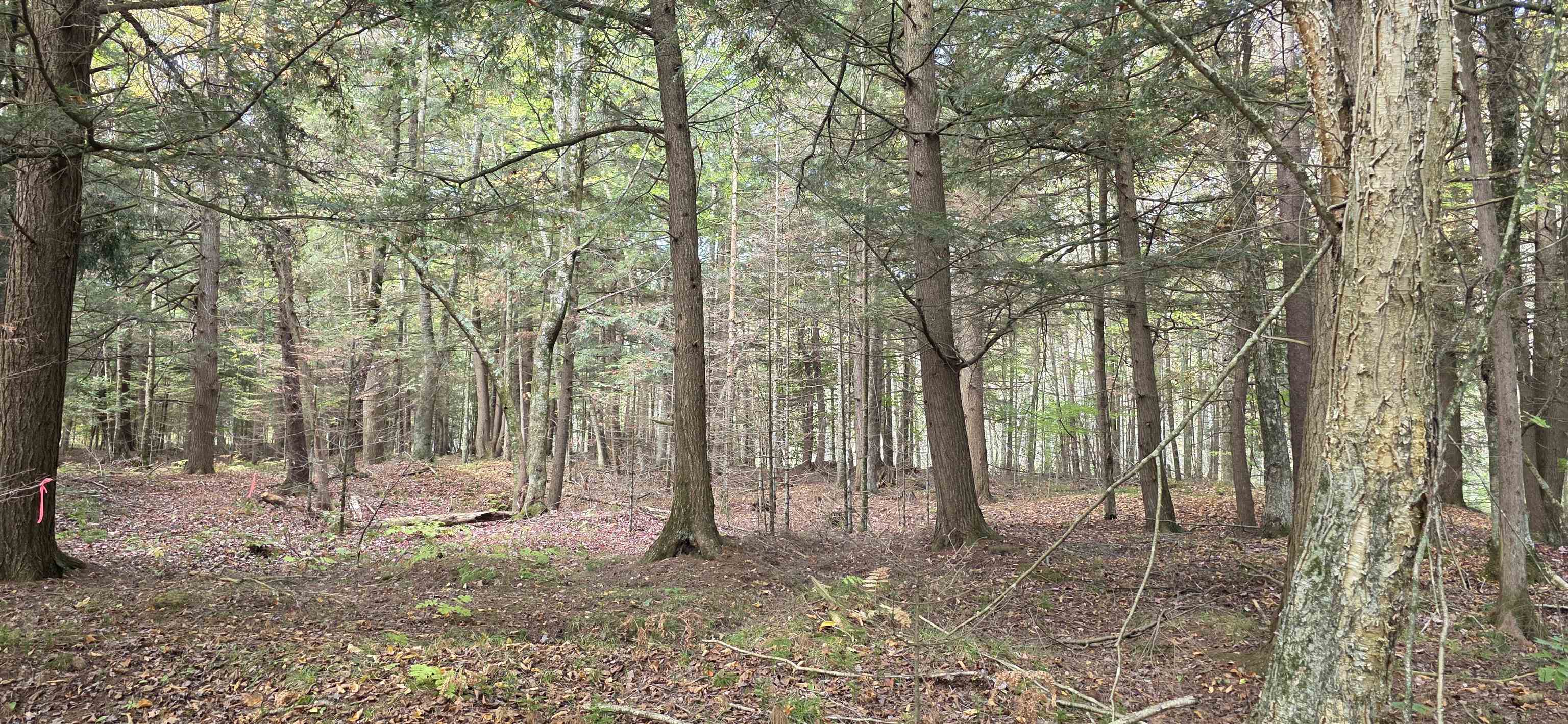 8653 Alder Lane Suring, WI 54174 - Photo 46 of 61