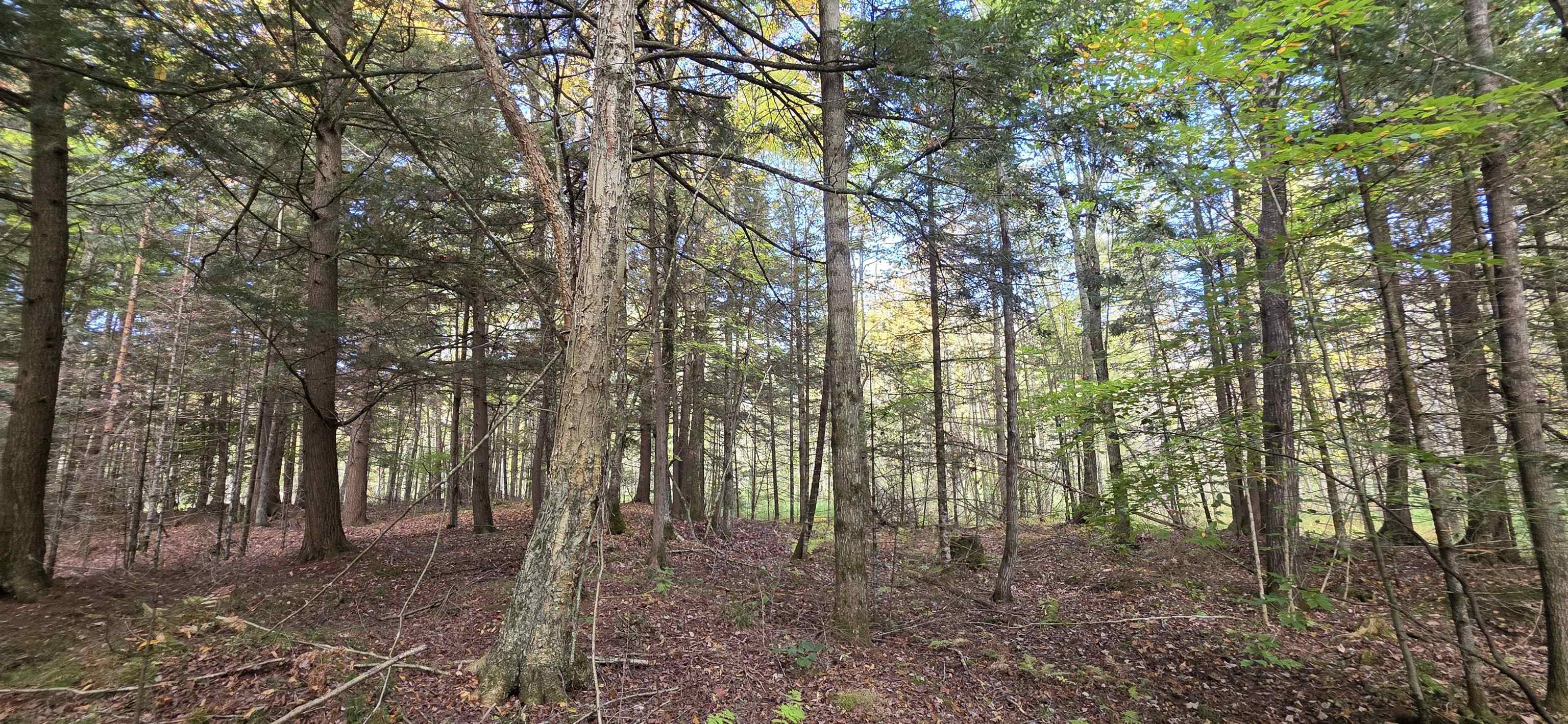 8653 Alder Lane Suring, WI 54174 - Photo 47 of 61