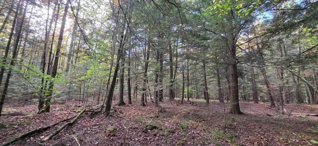 $199,900 | 8653 Alder Lane, Suring, WI 54174