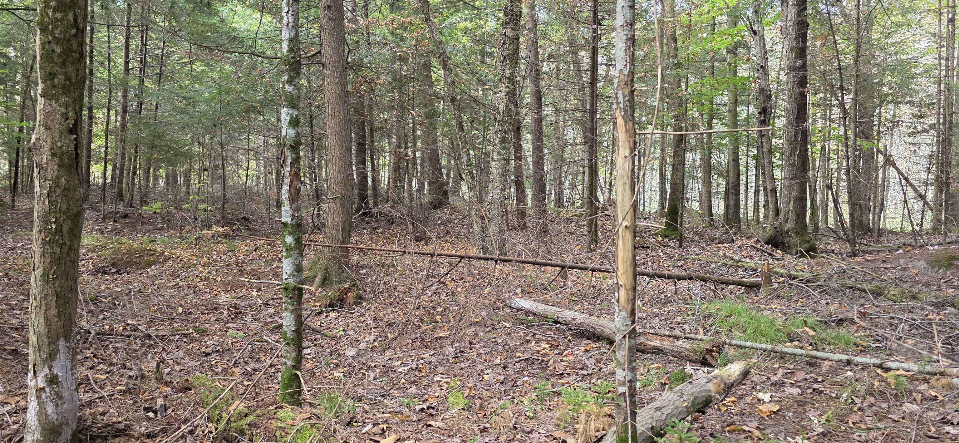 8653 Alder Lane Suring, WI 54174 - Photo 49 of 61