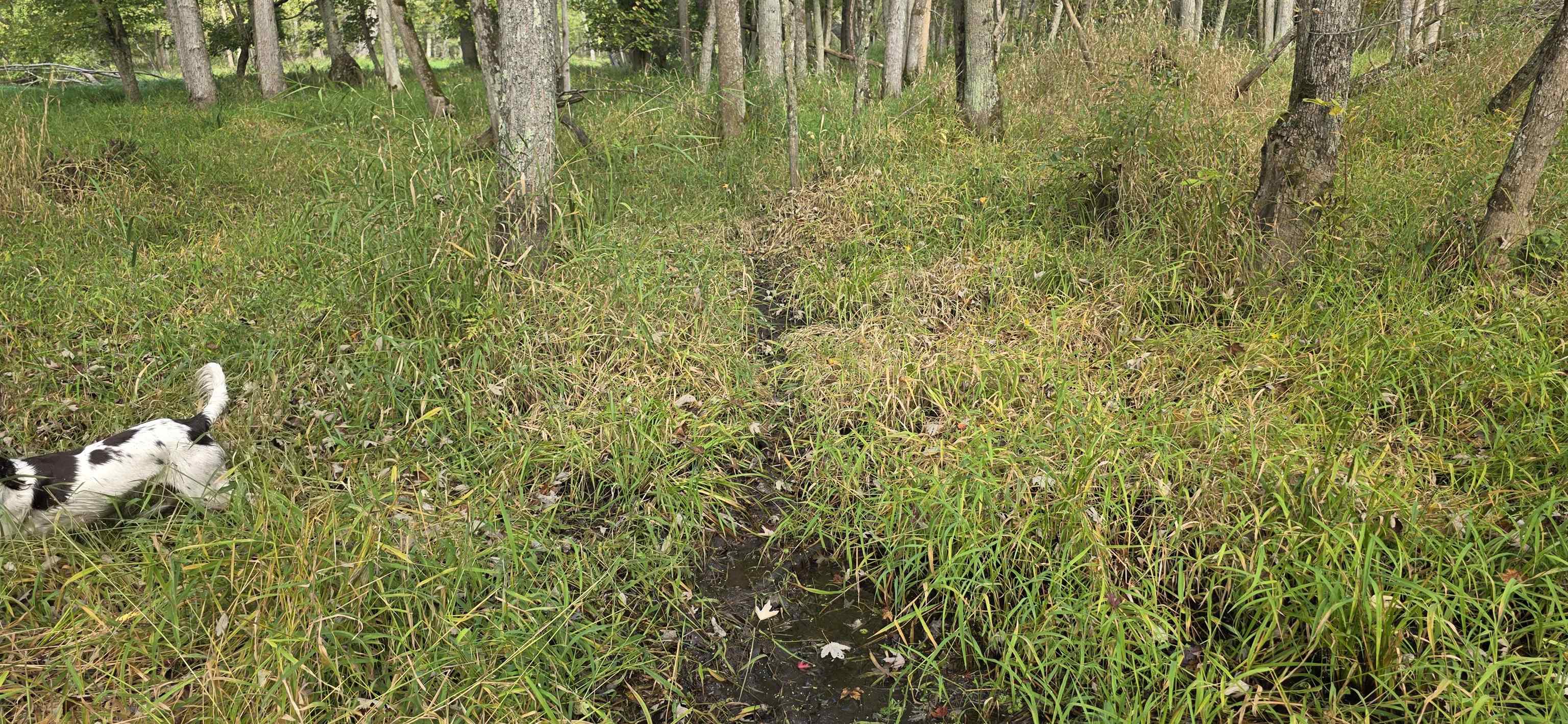 8653 Alder Lane Suring, WI 54174 - Photo 53 of 61