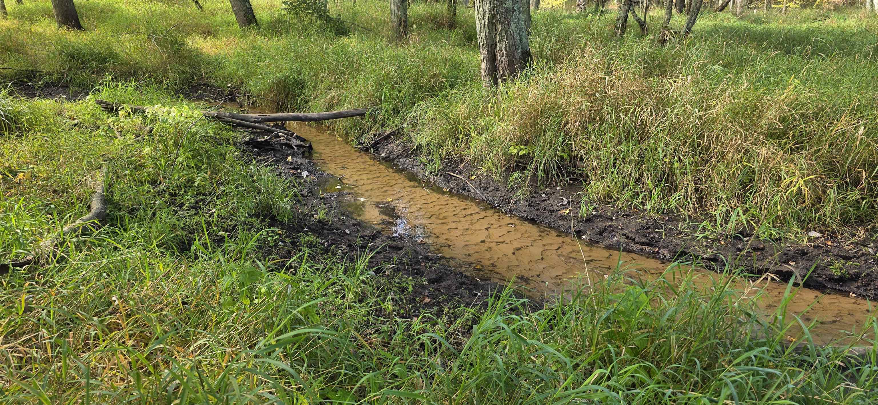 8653 Alder Lane Suring, WI 54174 - Photo 57 of 61