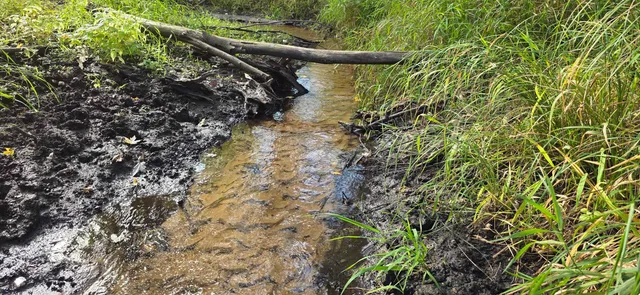 $199,900 | 8653 Alder Lane, Suring, WI 54174