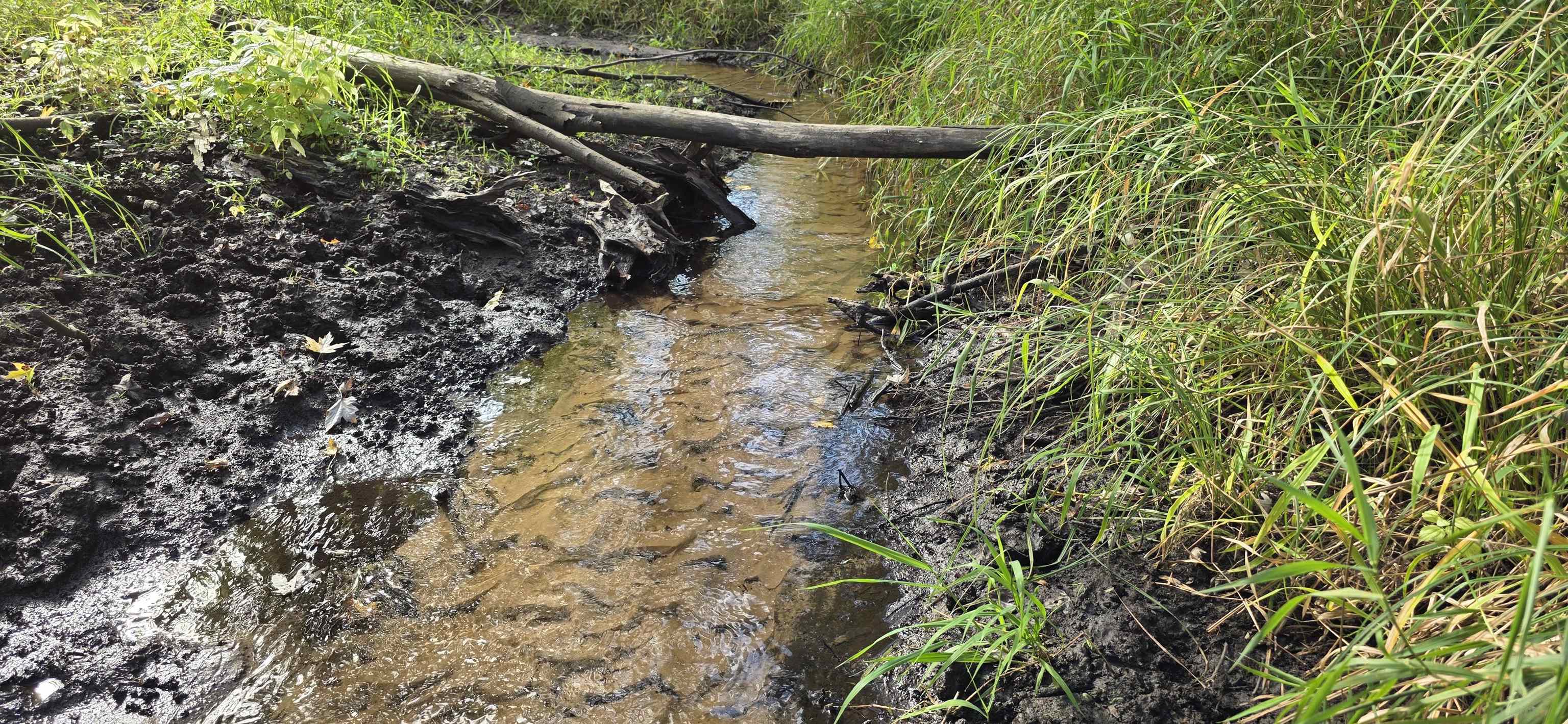 8653 Alder Lane Suring, WI 54174 - Photo 58 of 61