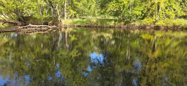 $199,900 | 8653 Alder Lane, Suring, WI 54174