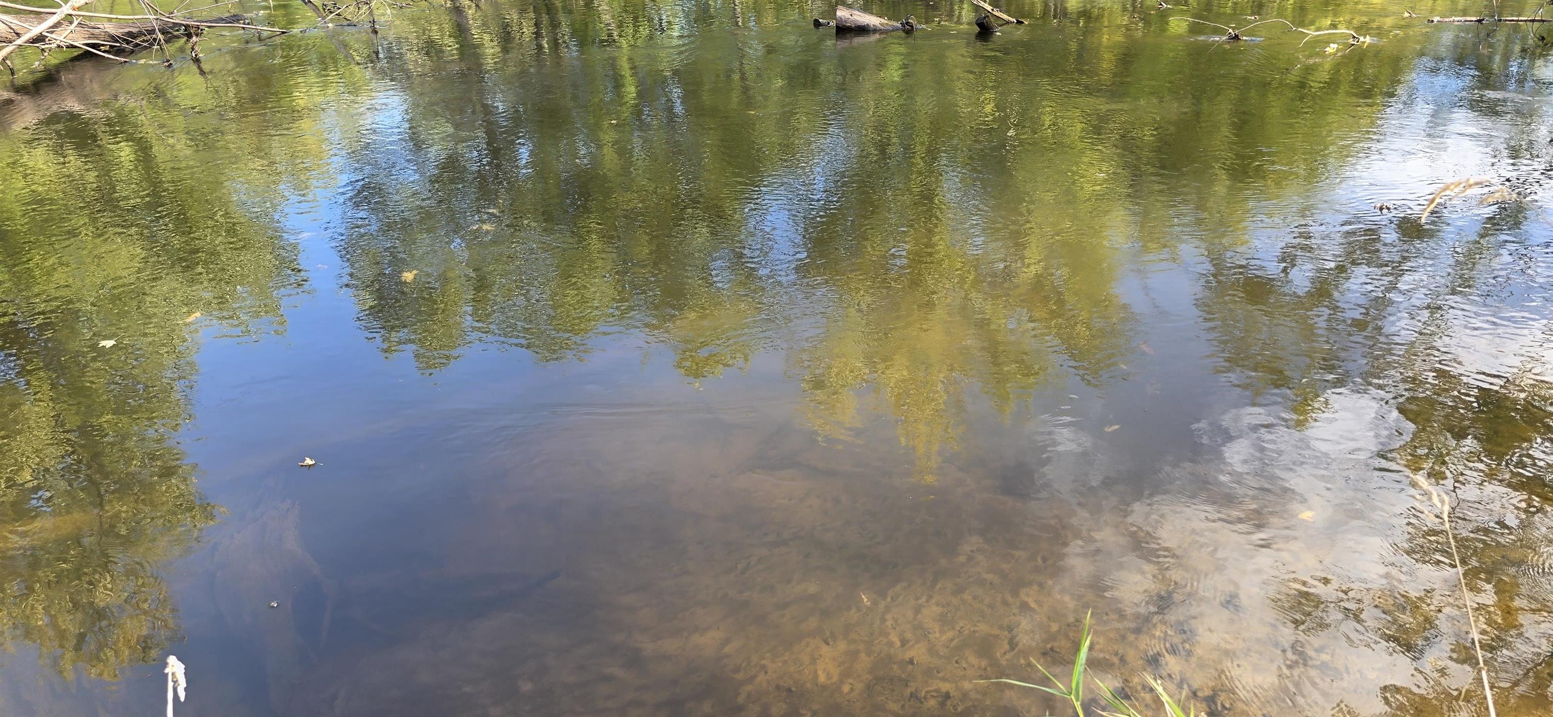 8653 Alder Lane Suring, WI 54174 - Photo 61 of 61