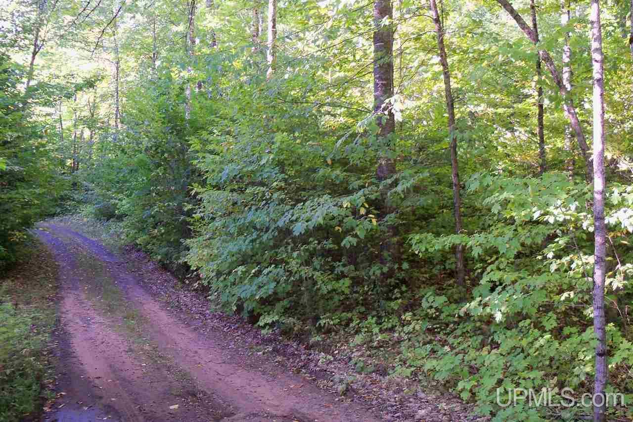 26 Co Road Negaunee, MI 49866 - Photo 2 of 31