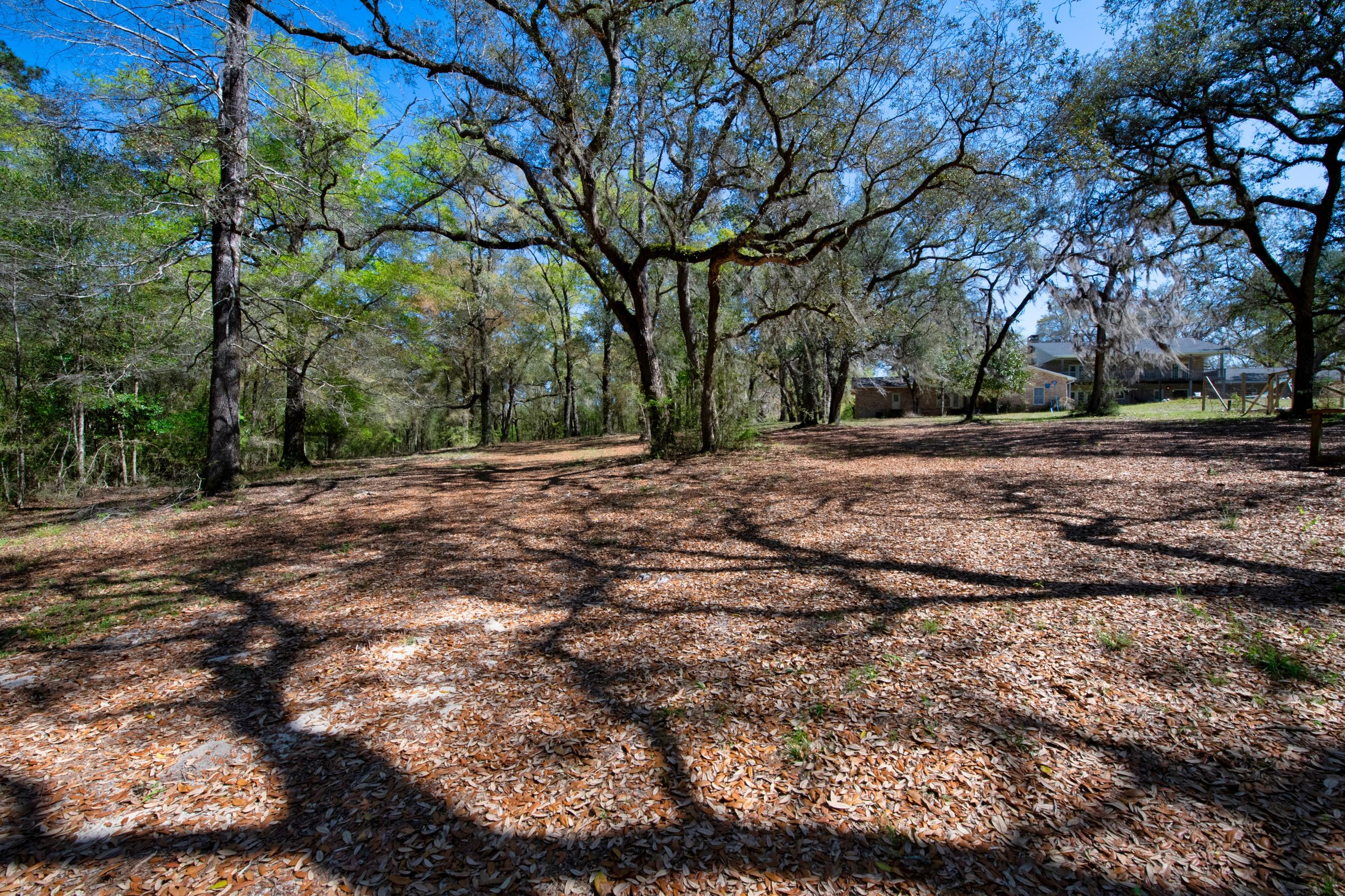 1 Lindley Road Crestview, FL 32536 - Photo 63 of 80 a view of a yard with a tree